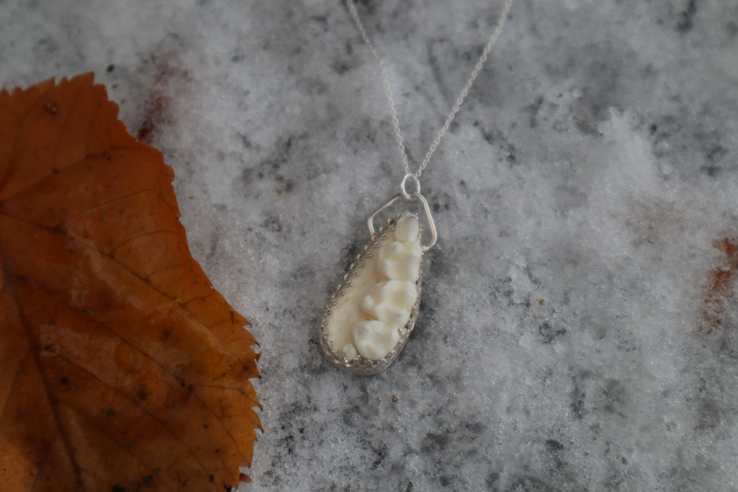 Raccoon Skull Fragment Necklace - .925 Sterling Silver