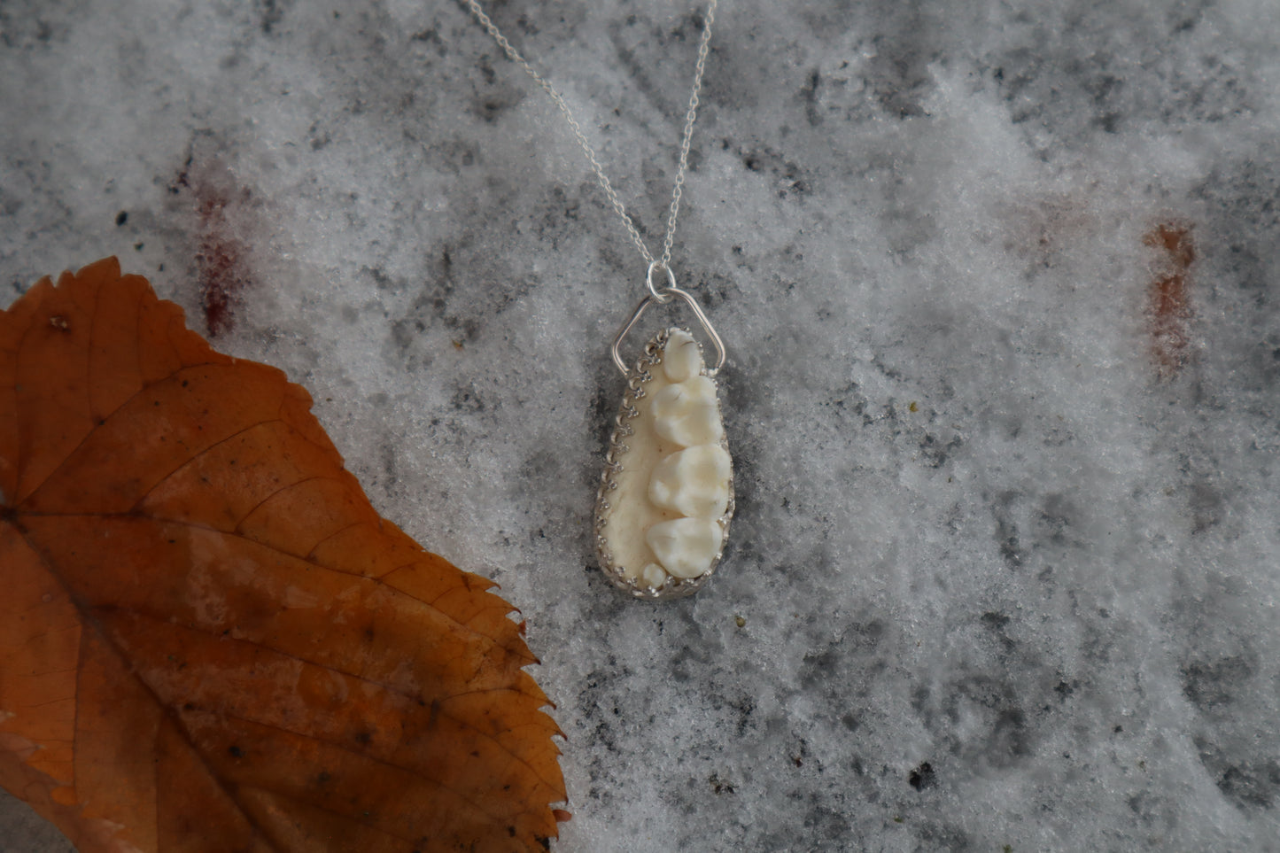 Raccoon Skull Fragment Necklace - .925 Sterling Silver