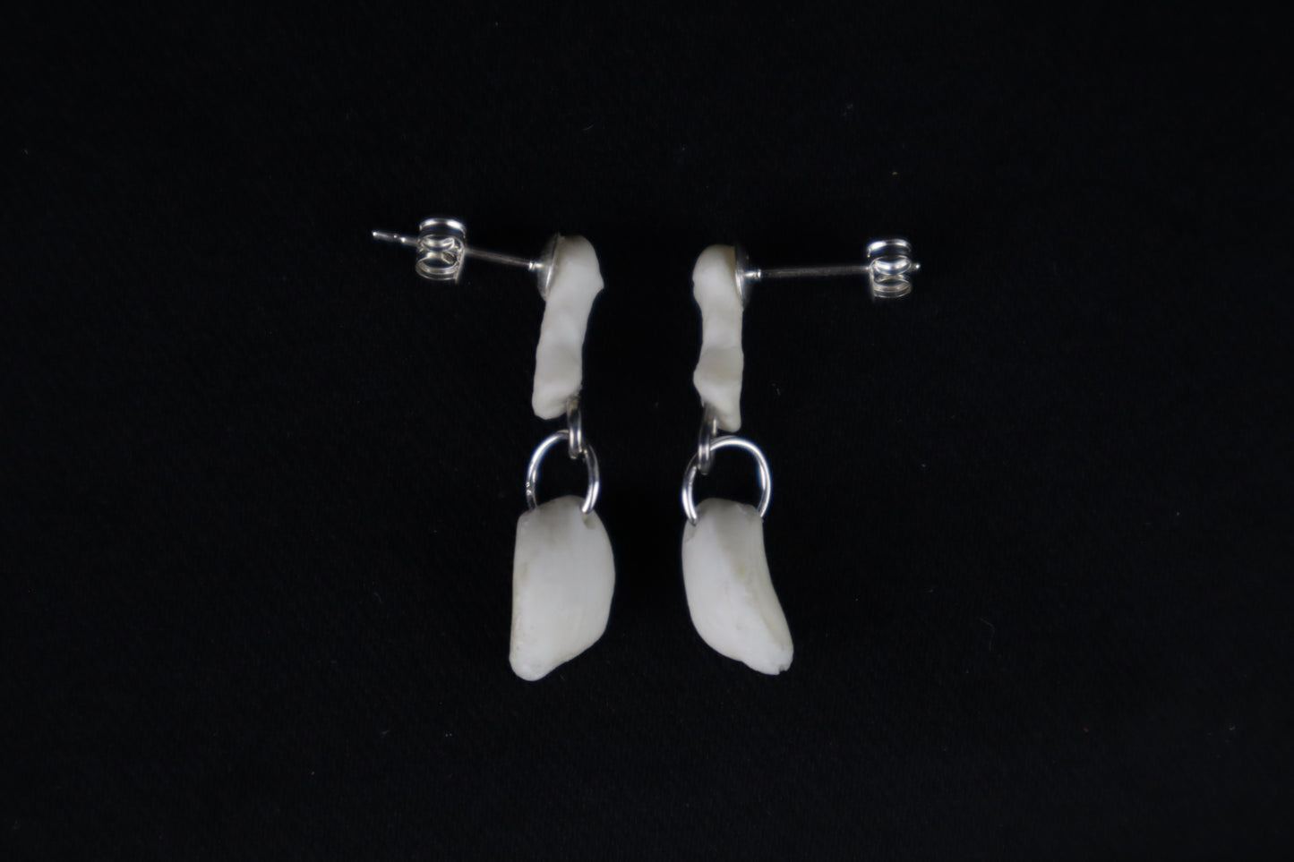 Red Fox Patella and Rib Stud Earrings - .925 Silver