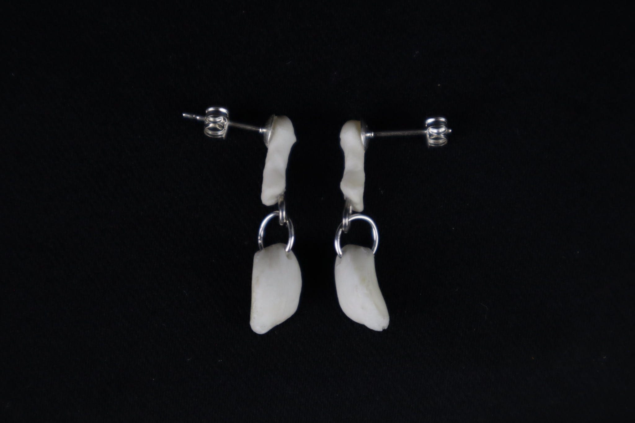 Red Fox Patella and Rib Stud Earrings - .925 Silver