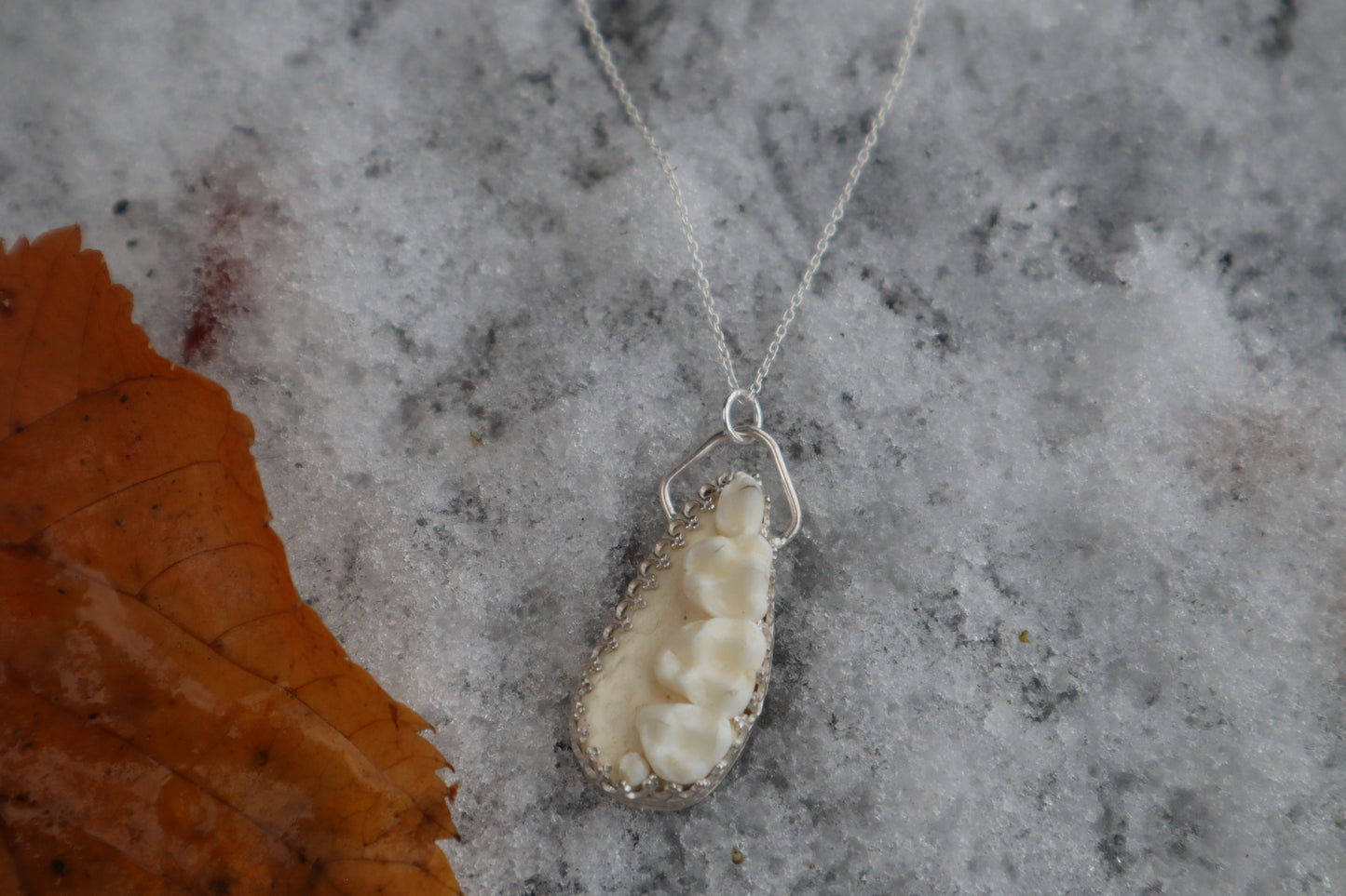 Raccoon Skull Fragment Necklace - .925 Sterling Silver