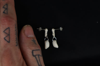 Red Fox Patella and Rib Stud Earrings - .925 Silver