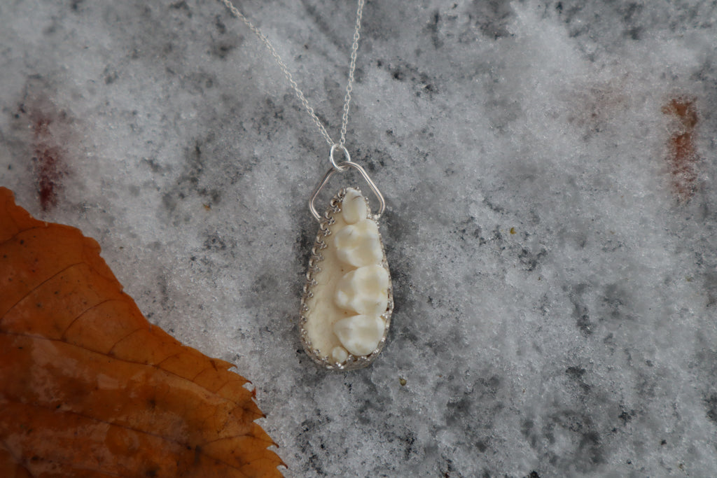 Raccoon Skull Fragment Necklace - .925 Sterling Silver