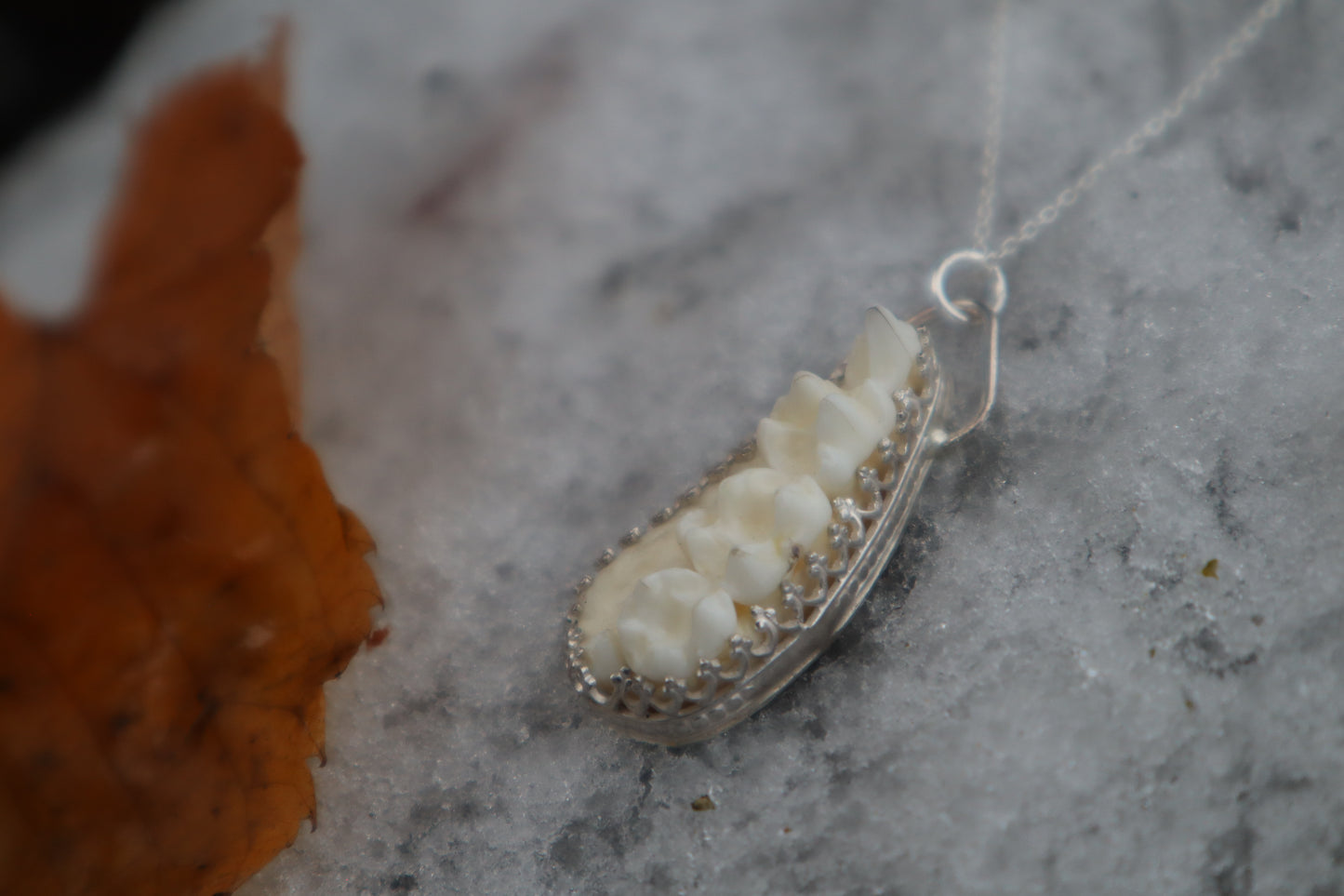 Raccoon Skull Fragment Necklace - .925 Sterling Silver