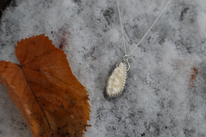 Raccoon Skull Fragment Necklace - .925 Sterling Silver