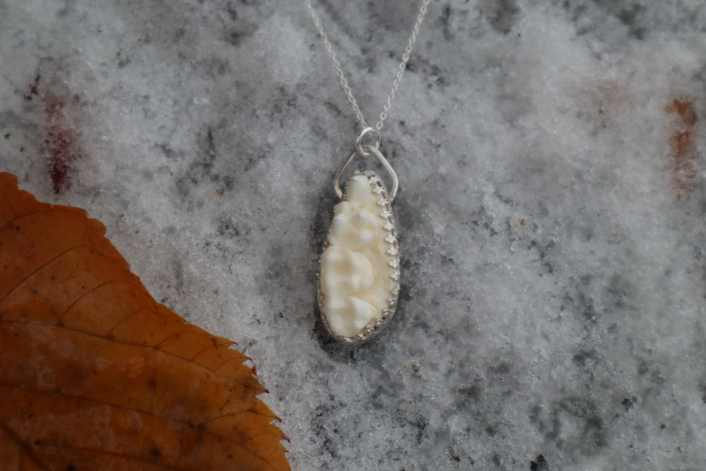 Raccoon Skull Fragment Necklace - .925 Sterling Silver