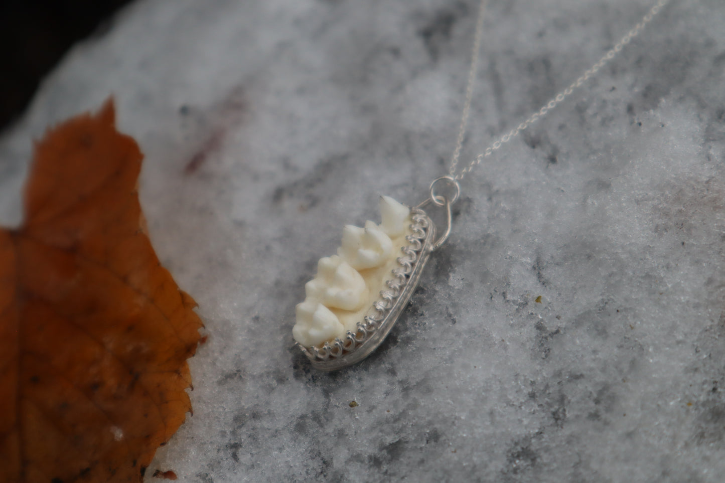 Raccoon Skull Fragment Necklace - .925 Sterling Silver