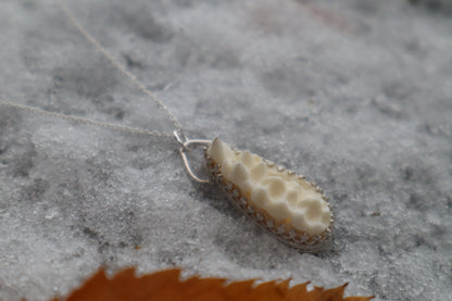 Raccoon Skull Fragment Necklace - .925 Sterling Silver