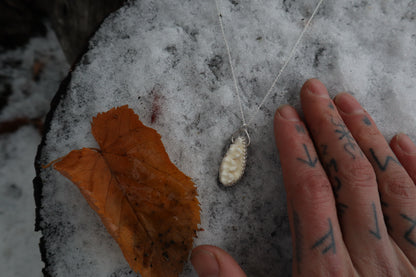 Raccoon Skull Fragment Necklace - .925 Sterling Silver