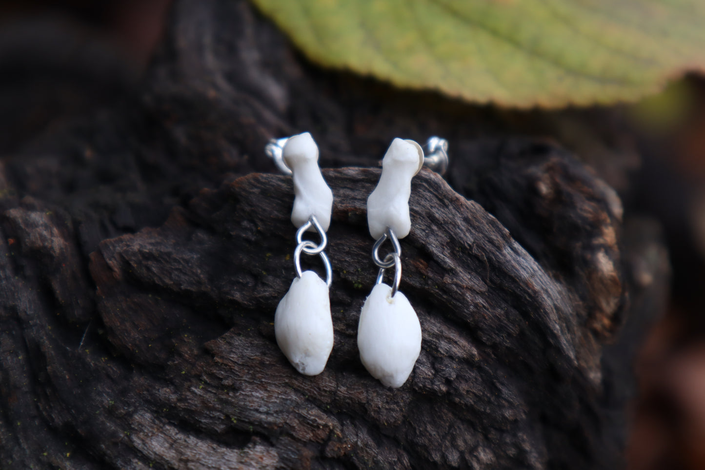 Red Fox Patella and Rib Stud Earrings - .925 Silver