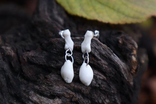 Red Fox Patella and Rib Stud Earrings - .925 Silver