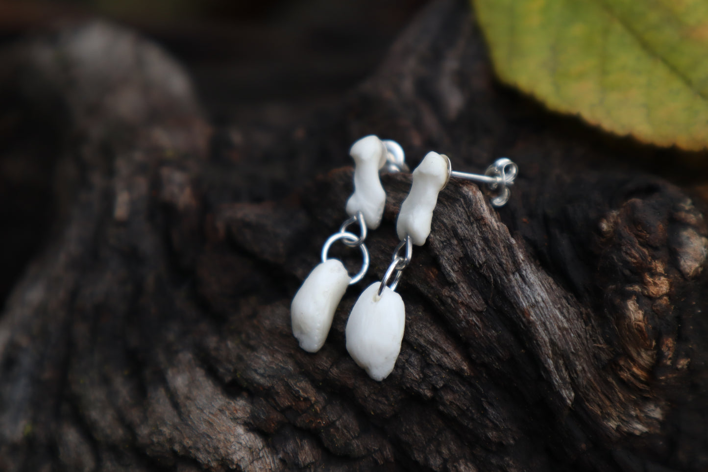 Red Fox Patella and Rib Stud Earrings - .925 Silver