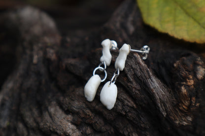 Red Fox Patella and Rib Stud Earrings - .925 Silver