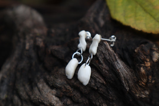 Red Fox Patella and Rib Stud Earrings - .925 Silver