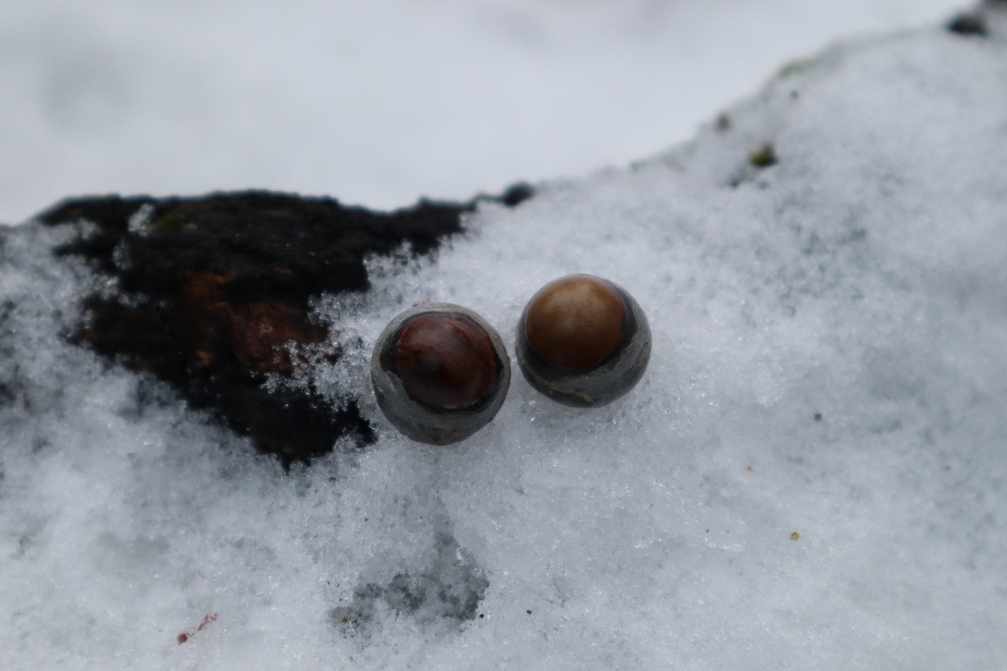Dry Preserved Kitten Eyeballs