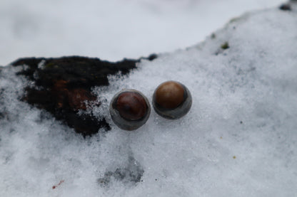 Dry Preserved Kitten Eyeballs