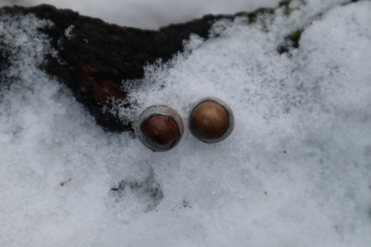 Dry Preserved Kitten Eyeballs