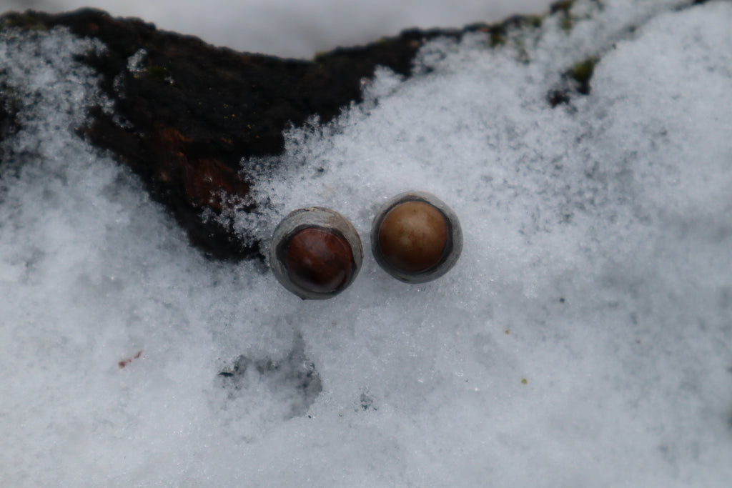 Dry Preserved Kitten Eyeballs