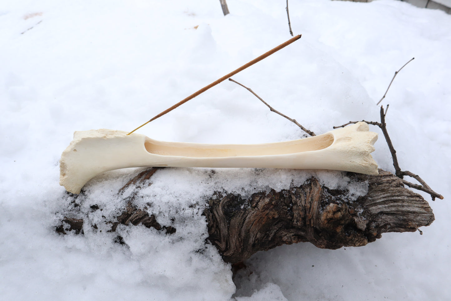 Elk Bone Incense Burner