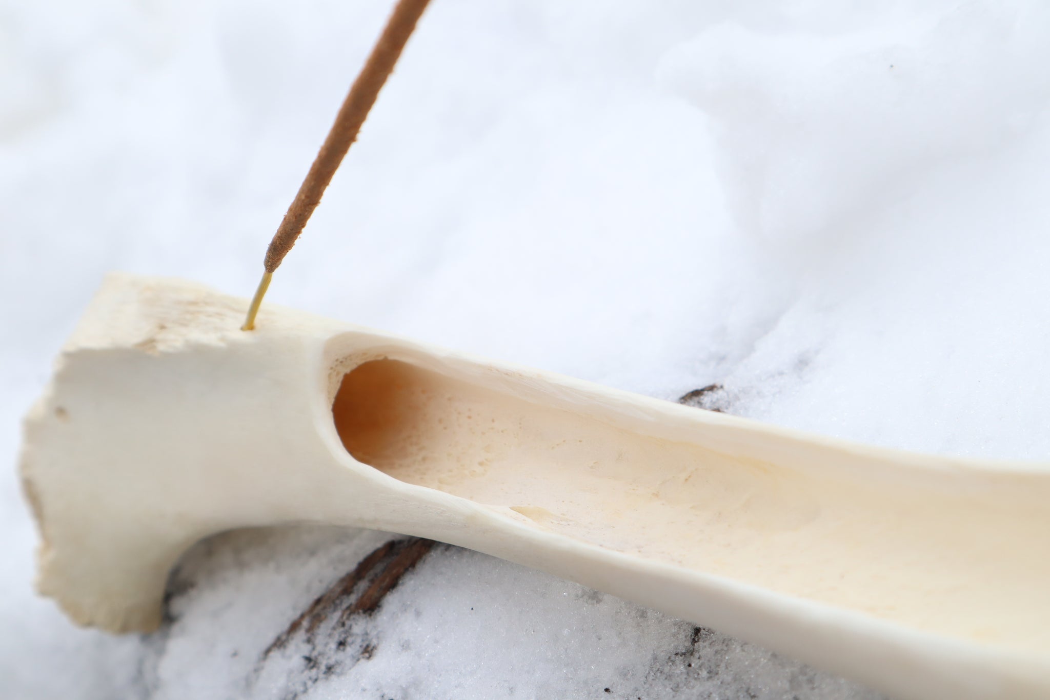 Elk Bone Incense Burner