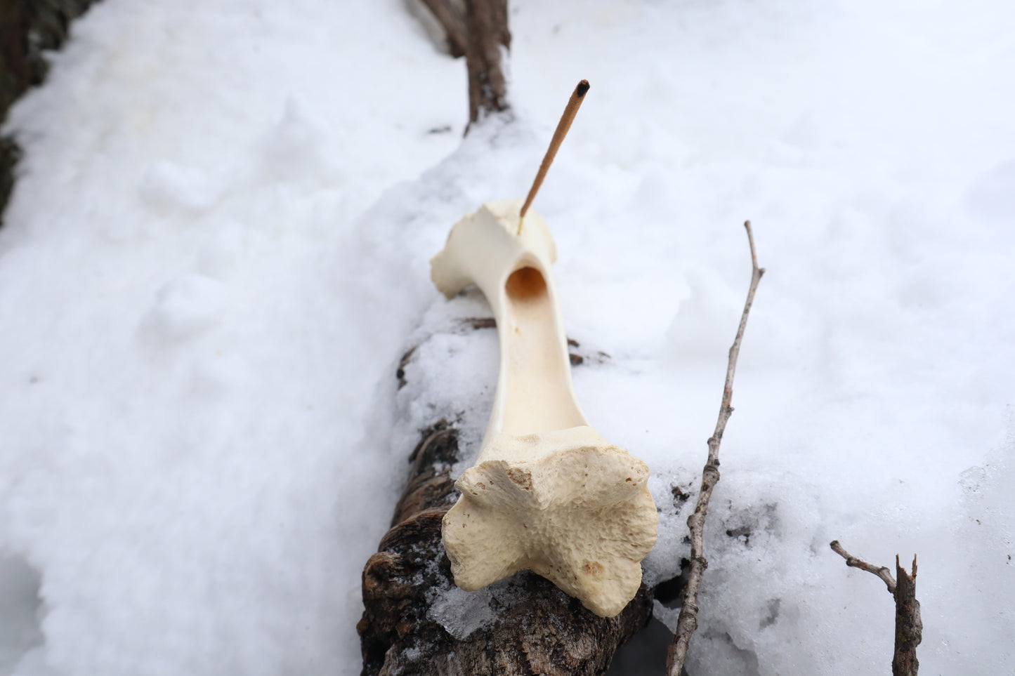 Elk Bone Incense Burner