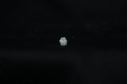 Baby Opossum Skull