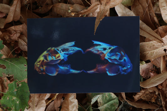 Neon Jack Rabbits Print