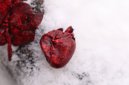 Dry Preserved Groundhog Heart and Lungs