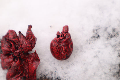Reserved for Cora - Dry Preserved Kitten Heart and Lungs