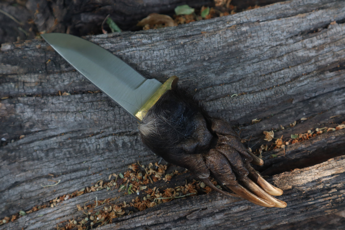 Badger Paw Knife