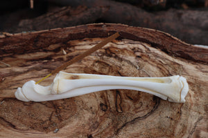 Whitetail Fawn Bone Incense Holder