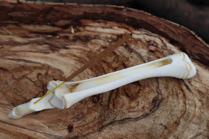 Whitetail Fawn Bone Incense Holder