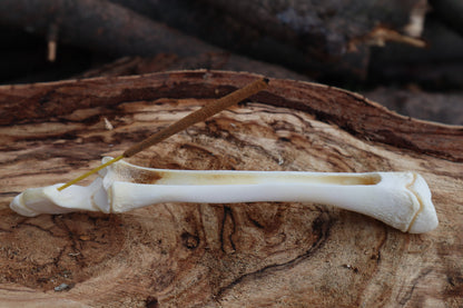 Whitetail Fawn Bone Incense Holder