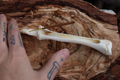 Whitetail Fawn Bone Incense Holder