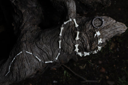 Fluid Polydactyl Cat Tail Articulation with Ouroboros Ring