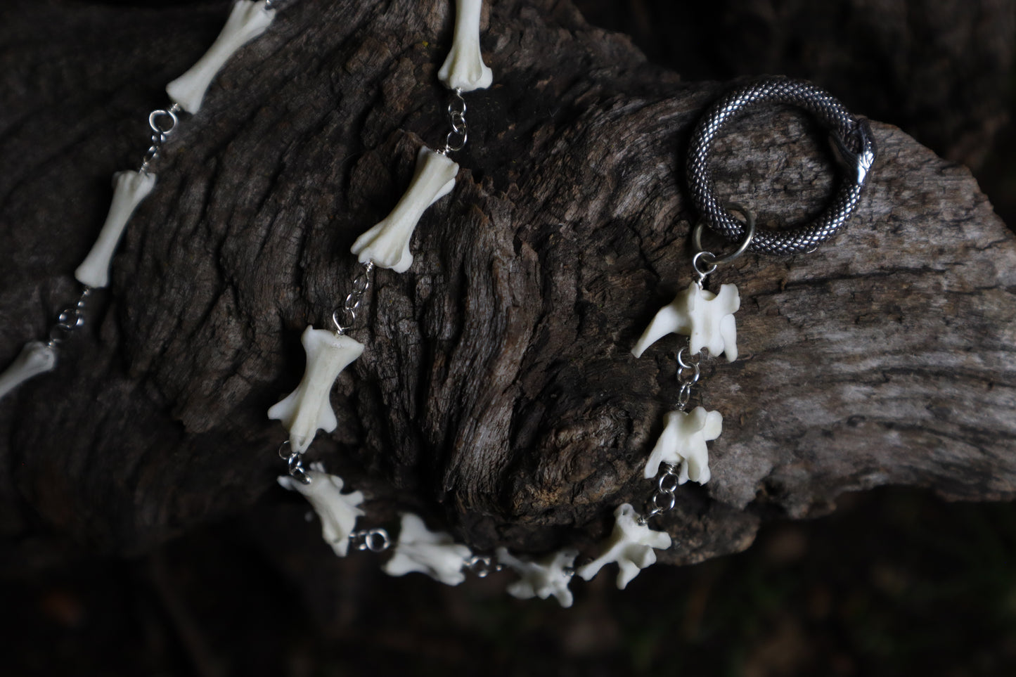 Fluid Polydactyl Cat Tail Articulation with Ouroboros Ring