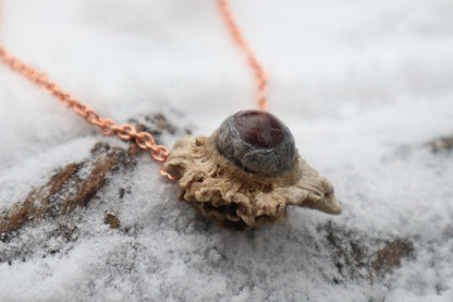 Whitetail Fawn Eyeball Talisman