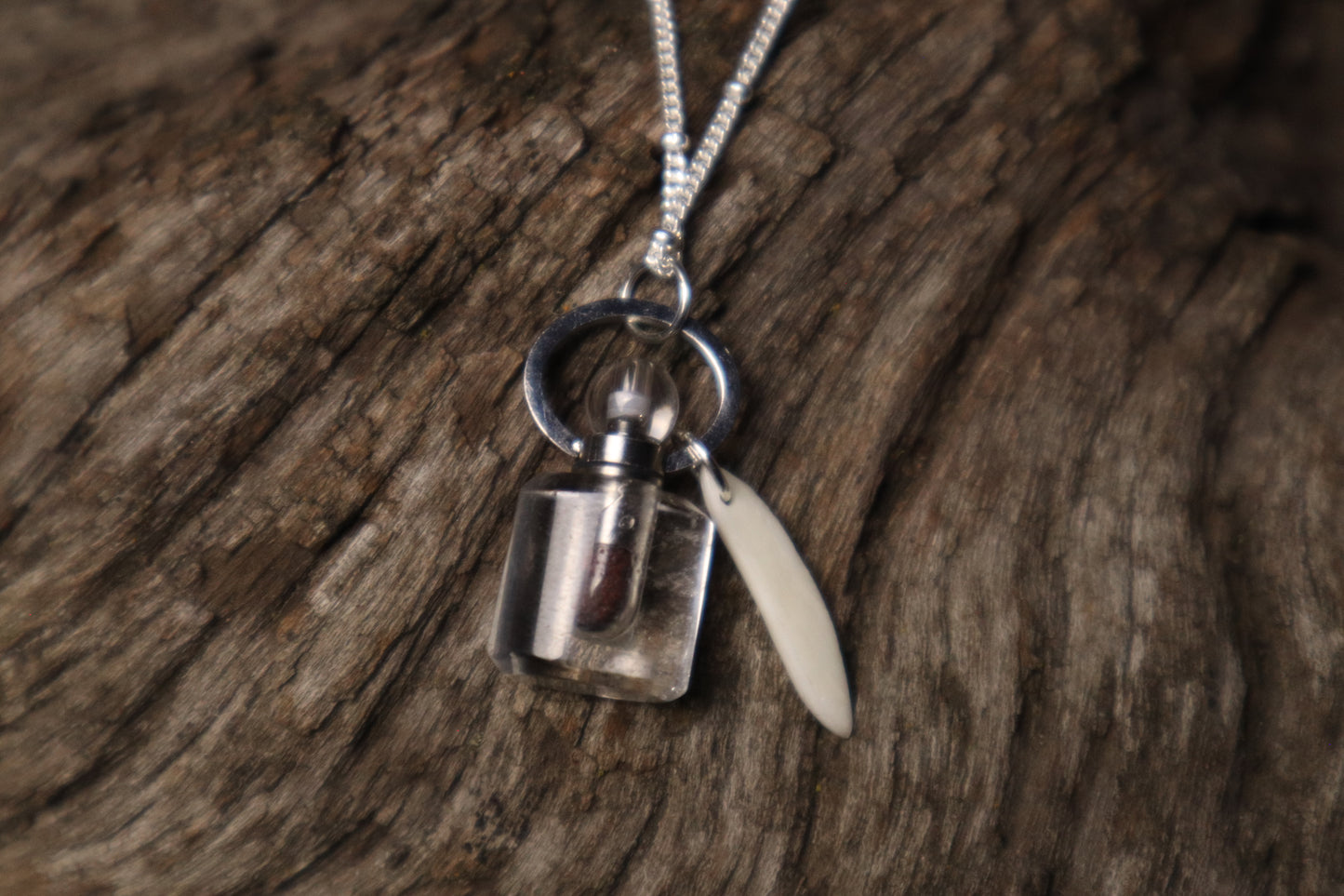 Gray Wolf Blood and Bone Shard Necklace