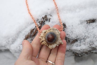 Whitetail Fawn Eyeball Talisman