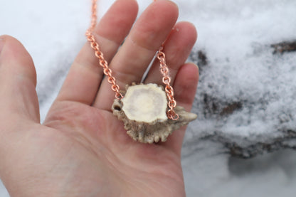 Whitetail Fawn Eyeball Talisman