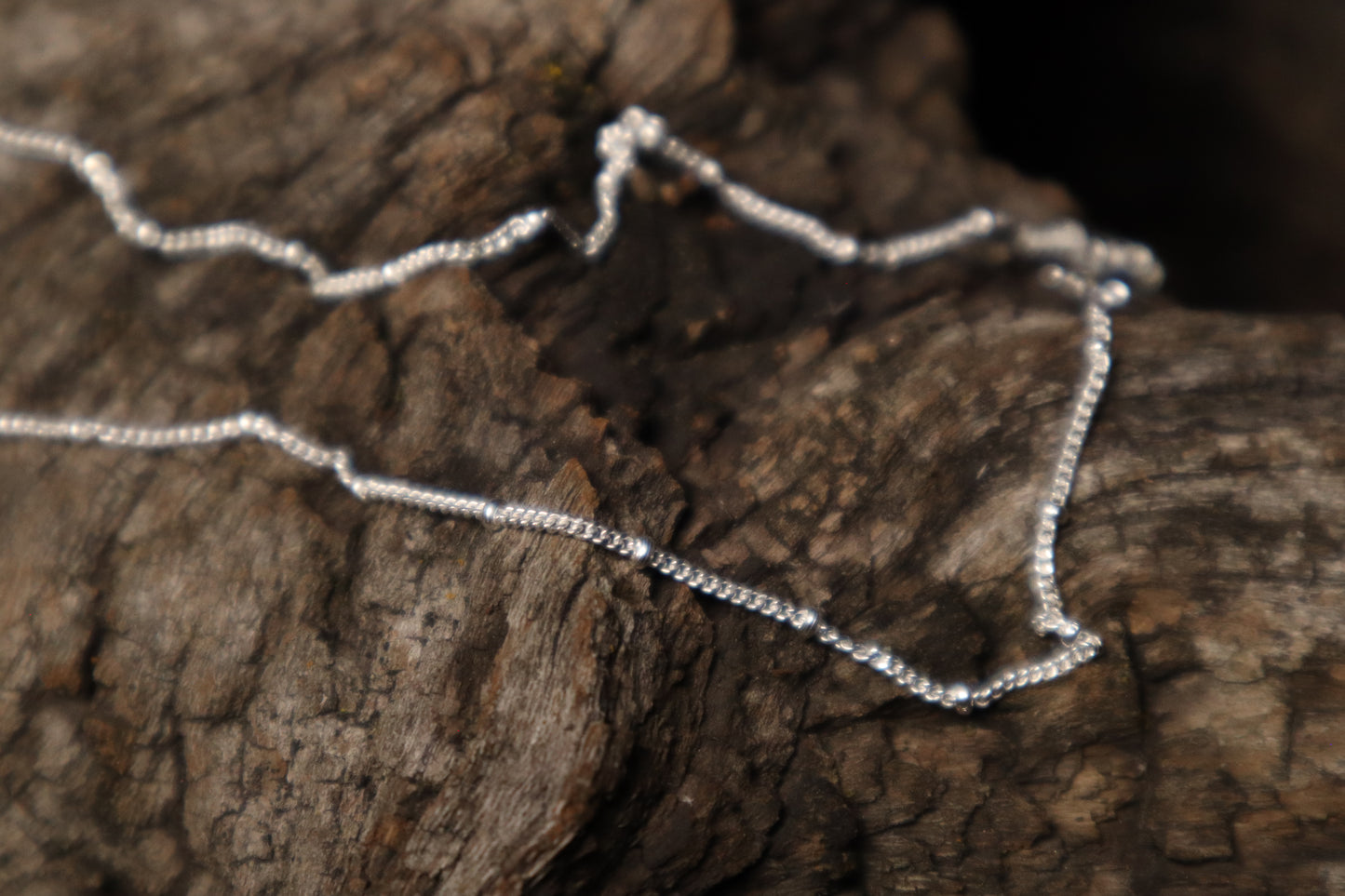 Gray Wolf Blood and Bone Shard Necklace