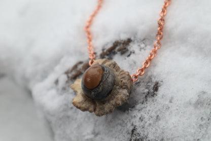 Whitetail Fawn Eyeball Talisman