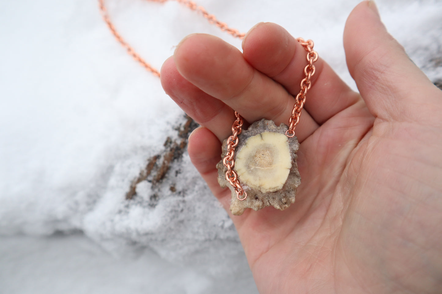 Whitetail Fawn Eyeball Talisman