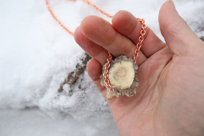 Whitetail Fawn Eyeball Talisman