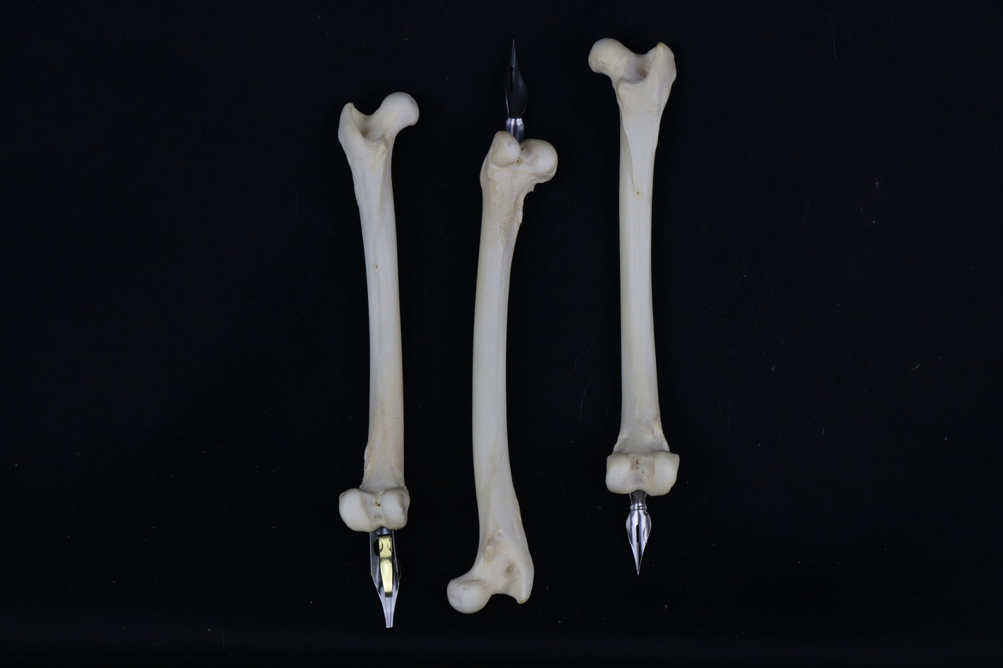 Bone Calligraphy Pen