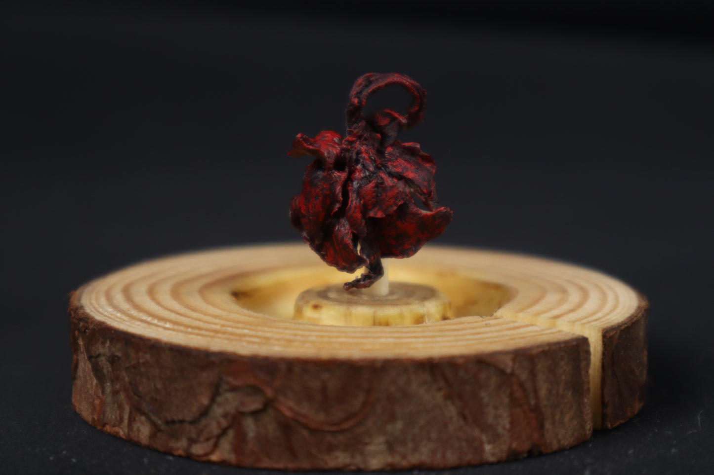 Dry Preserved Red Fox Kit Lungs in Glass Dome