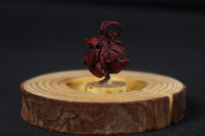 Dry Preserved Red Fox Kit Lungs in Glass Dome