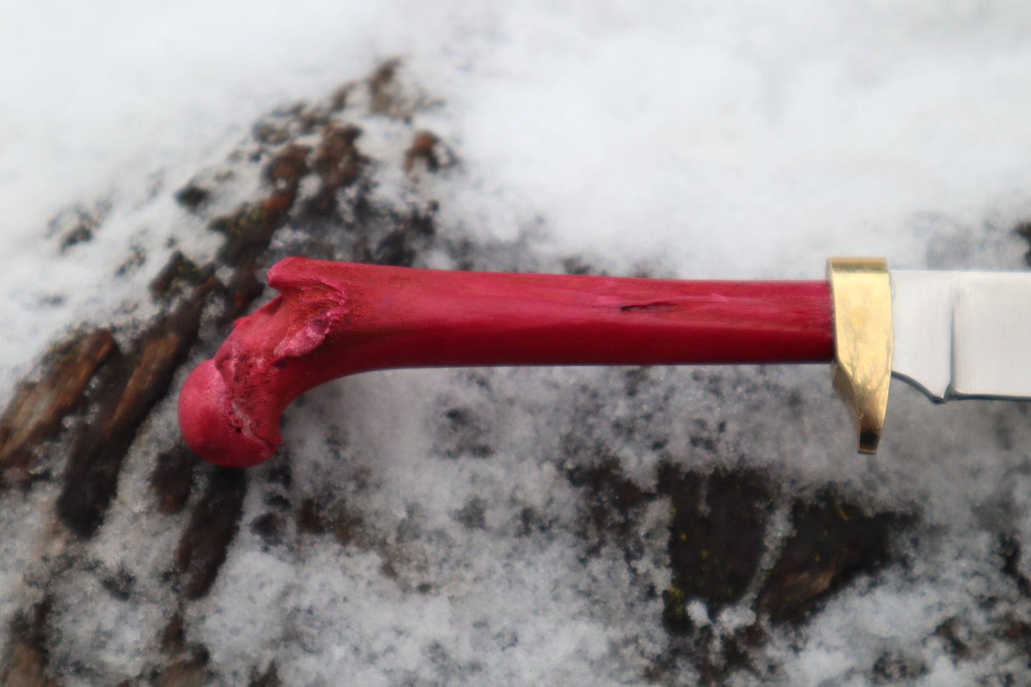 Crimson Bobcat Femur Knife