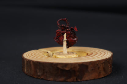 Dry Preserved Red Fox Kit Lungs in Glass Dome