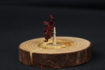 Dry Preserved Red Fox Kit Lungs in Glass Dome